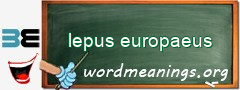 WordMeaning blackboard for lepus europaeus